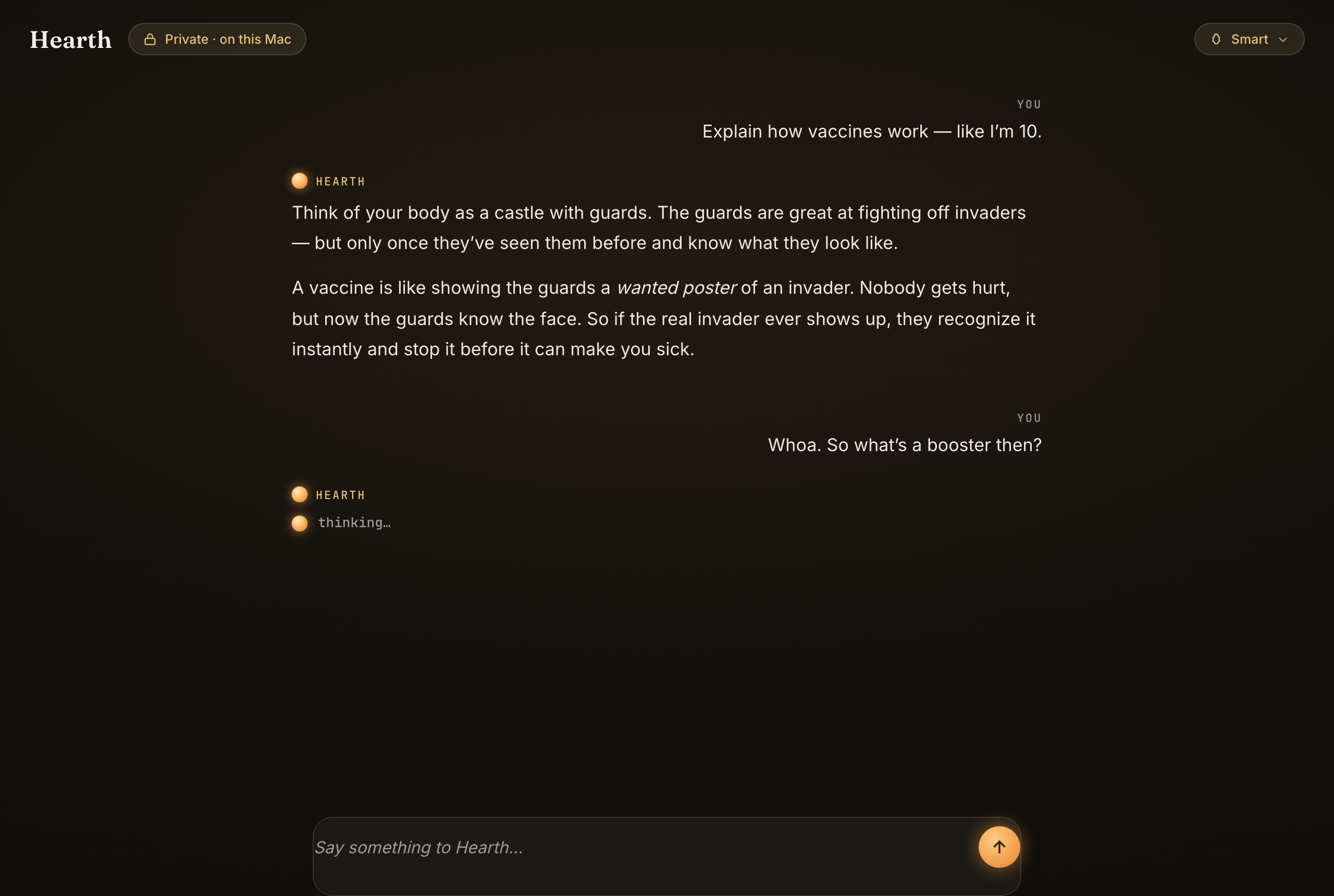 Hearth conversation at night